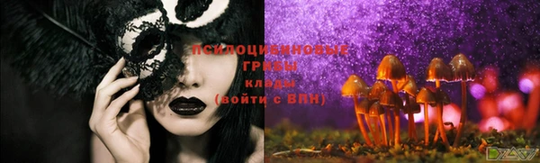 ECSTASY Абдулино